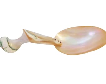 Large 9" Caviar Mother of Pearl Shell Spoon with Spiral Handle