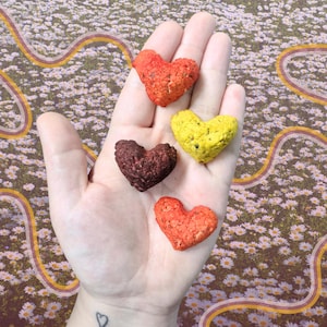 Fairy Garden Recycled Paper Seed Bombs / Wedding Rice Throw Ideas / Chaos Garden / Seed Throwing