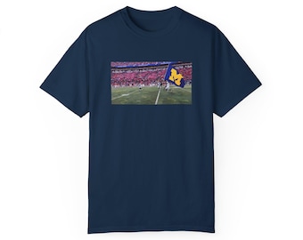 Michigan Flag Plant - Football The Game Upset at Ohio State
