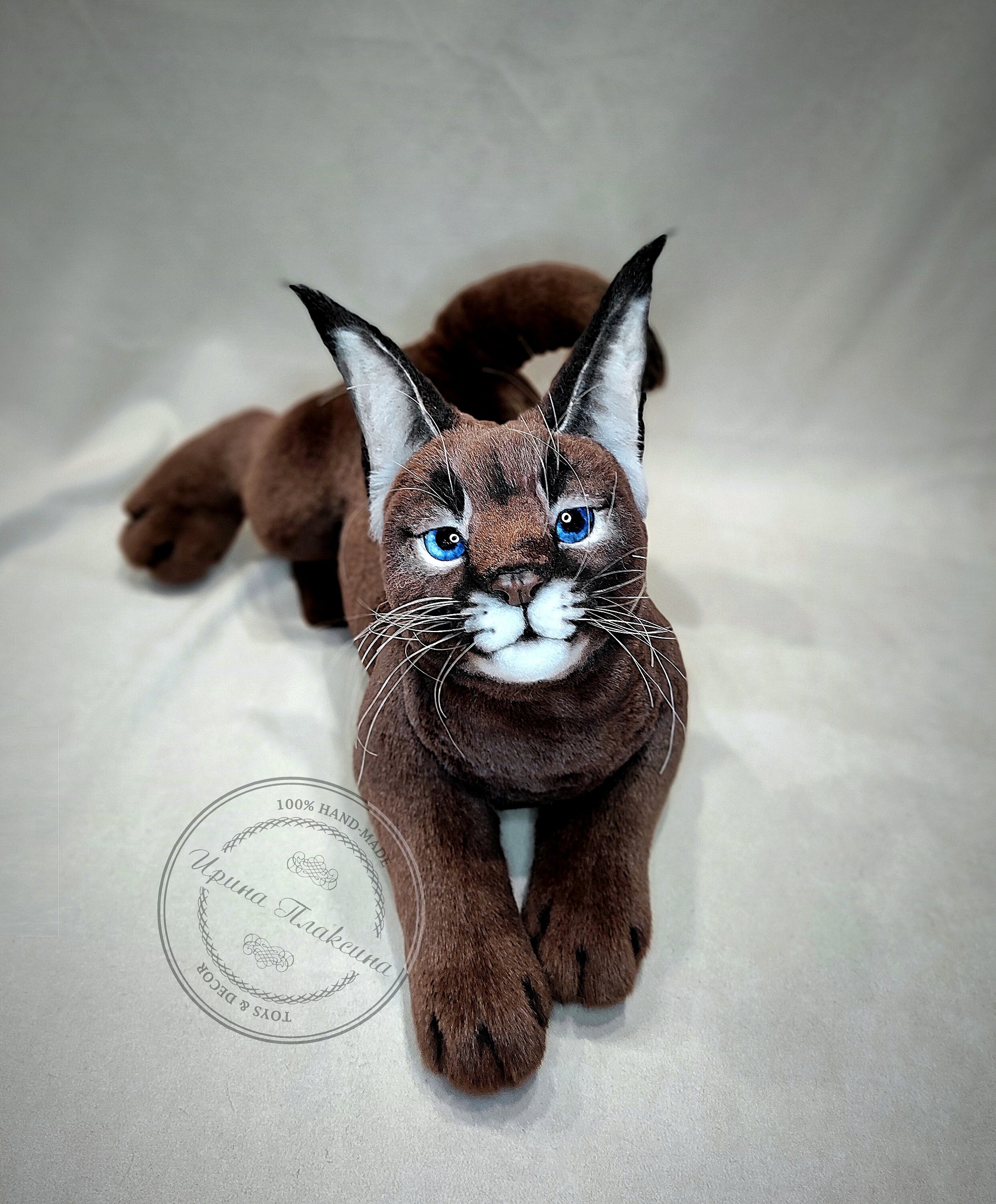 Cachorro de caracal. Lince estepario. Cachorro de bobcat. | Etsy México