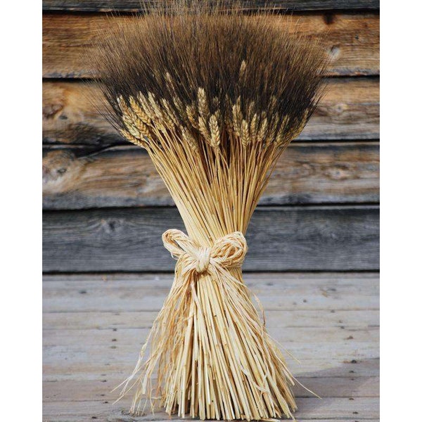 Grande tige de blé à barbe noire séchée Bunch Long Stem 100 Tiges Blé séché Triticum Bunch Tiges de blé séchées Floral Arrangement Fleurs séchées Boho