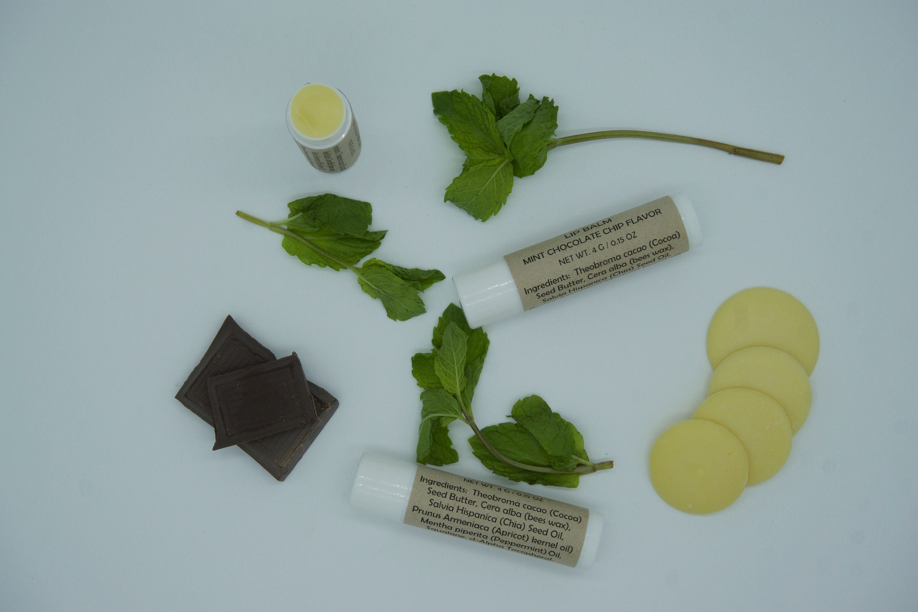 Mint Chocolate Chip Flavor Lip Balm - Etsy