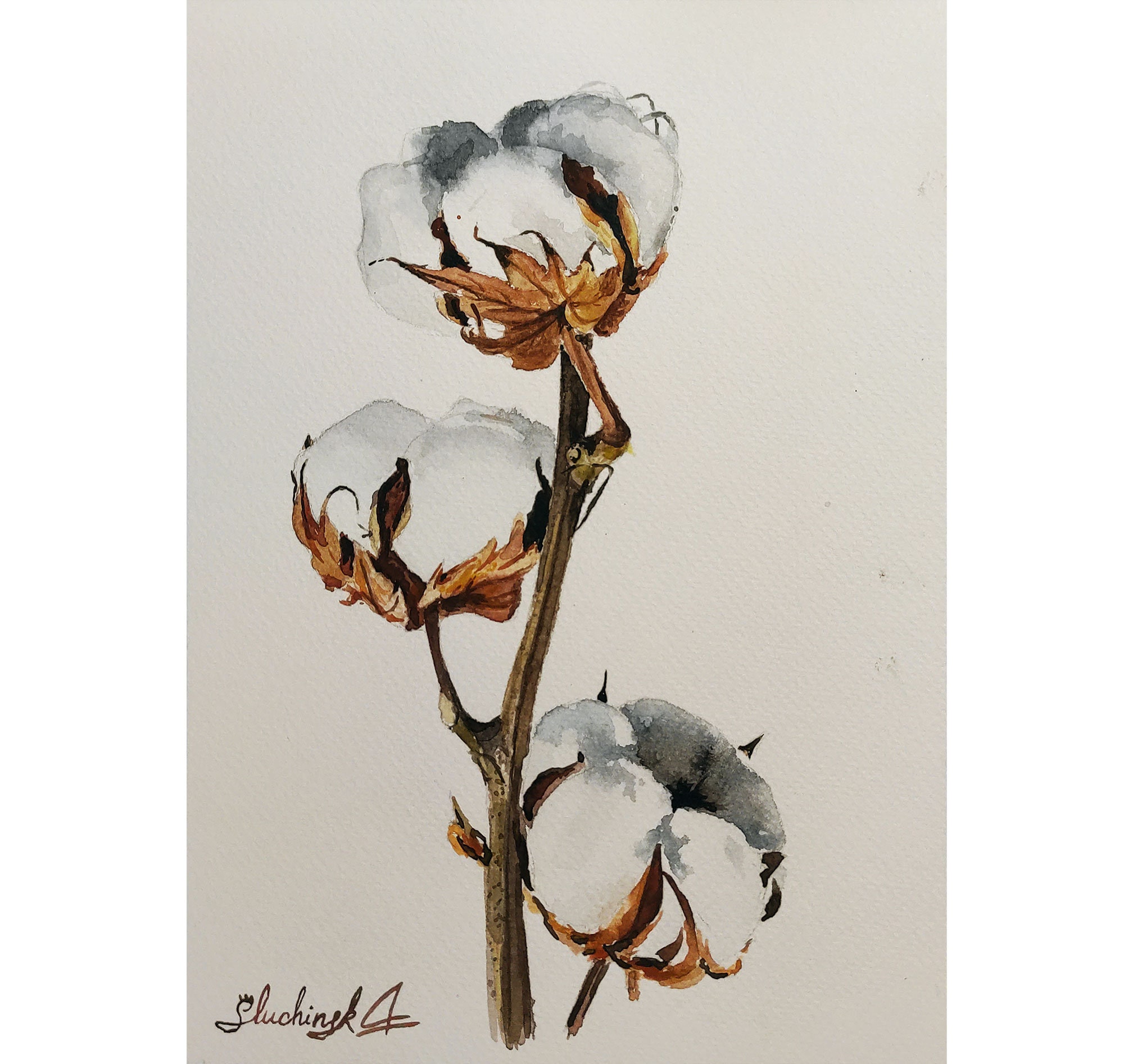 Peinture coton aquarelle florale art original fleur œuvre d'art botanique art mural - Photo 1 sur 12
