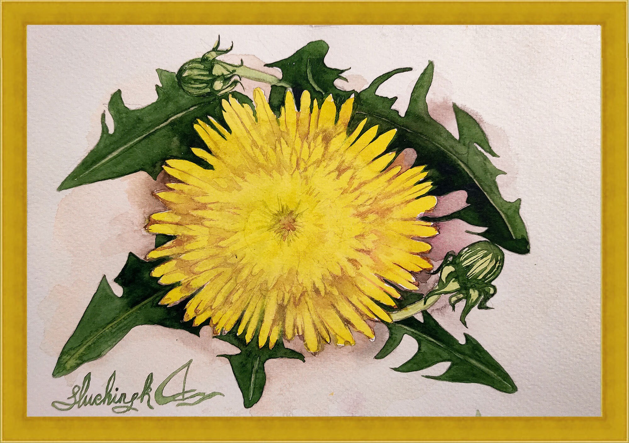 Painting Beautiful Nature Original Gift Botanical Wall Art,Dandelions