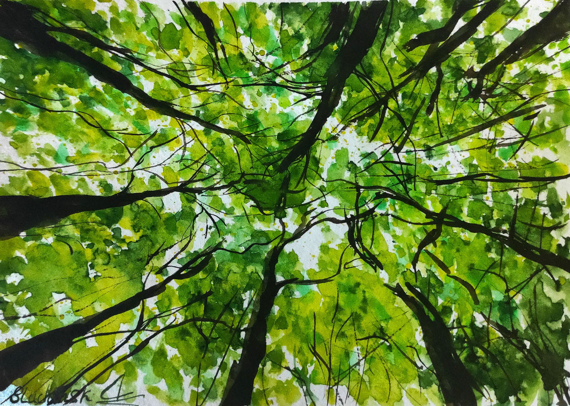 Forest painting 2024
