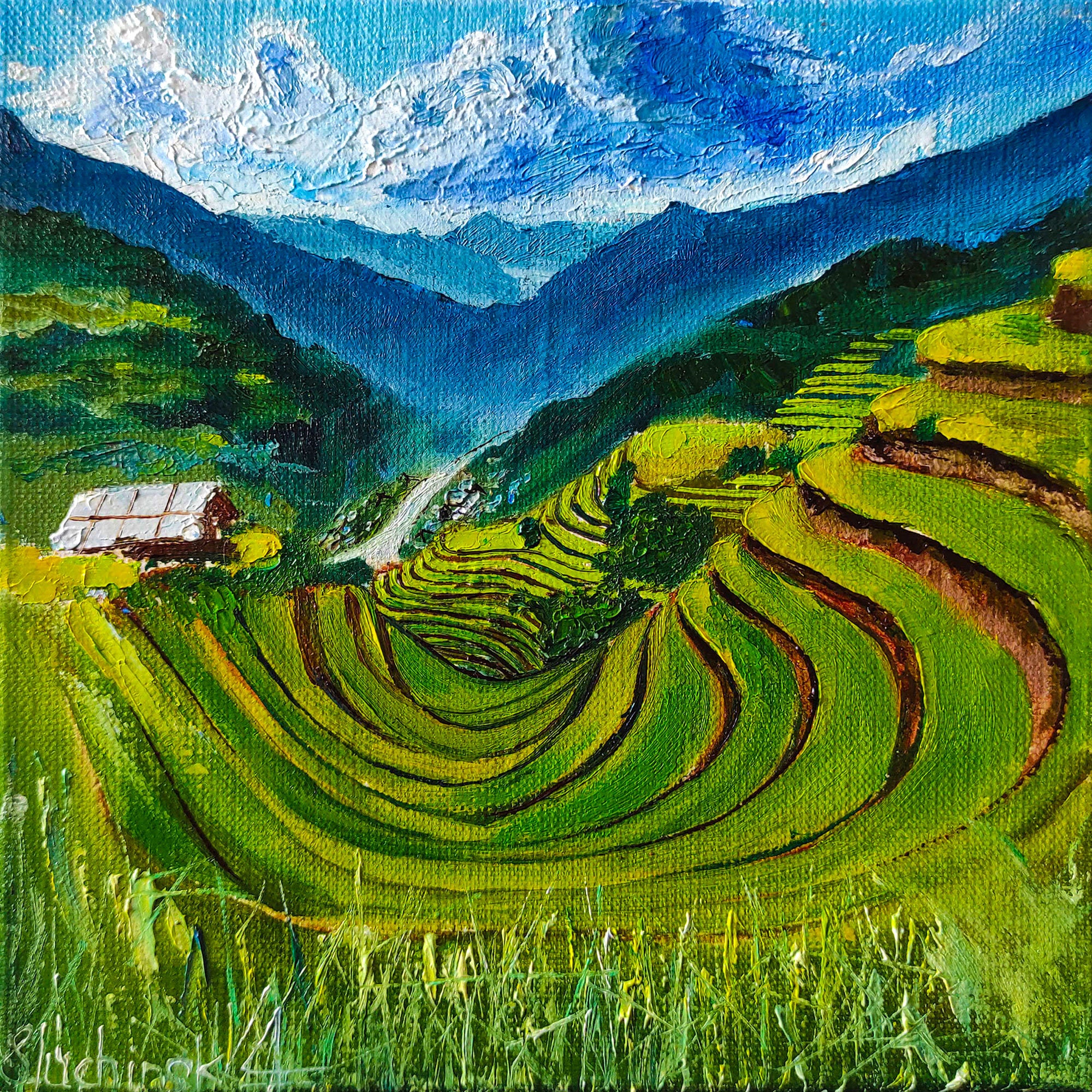Meadow landscape 2024