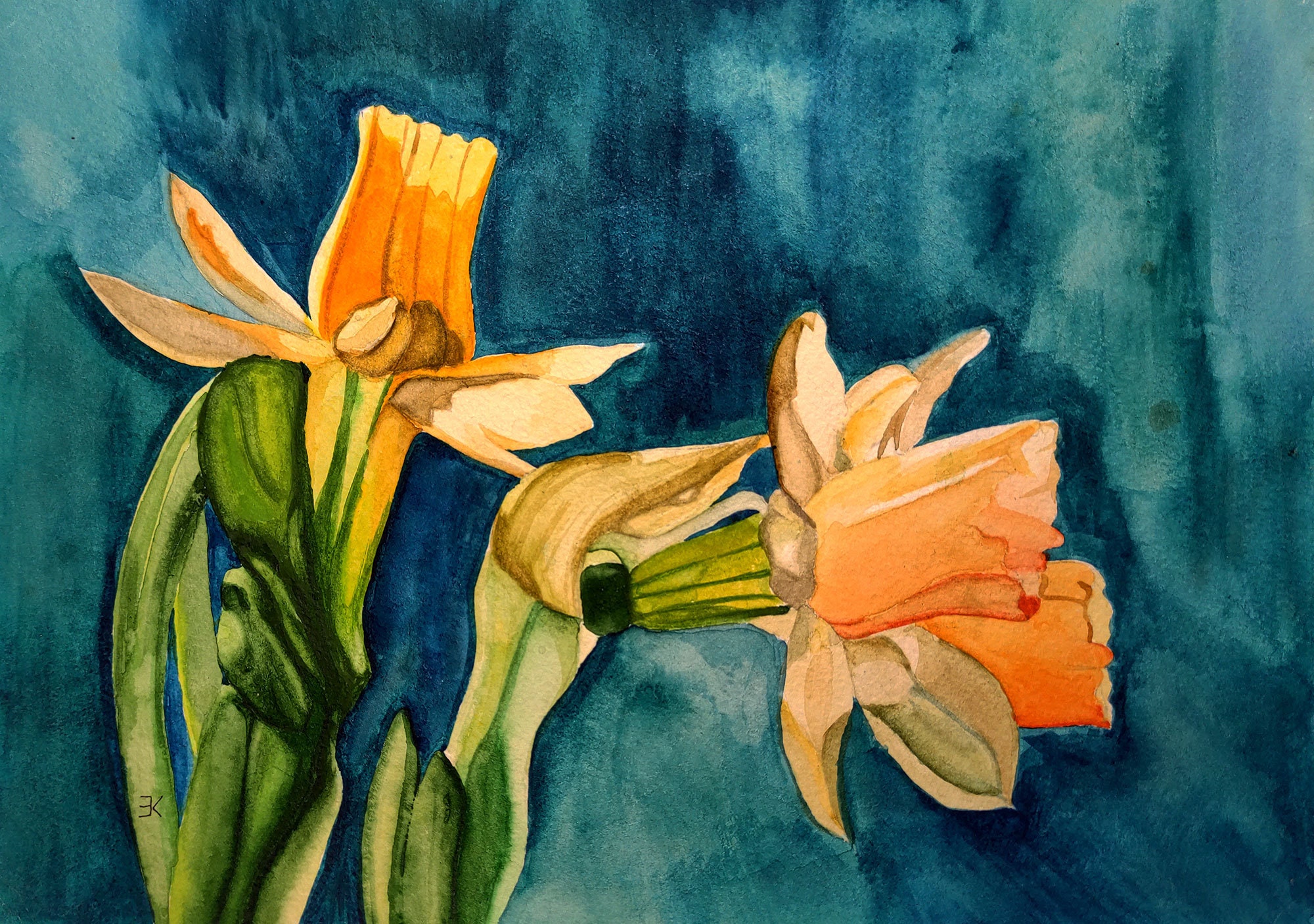 Peinture jonquille aquarelle art original fleur œuvre florale botanique |  eBay