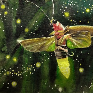 Firefly Painting Light Watercolor Original Art Nature Artwork Animal Wall Art by AlinaArtsGallery image 1