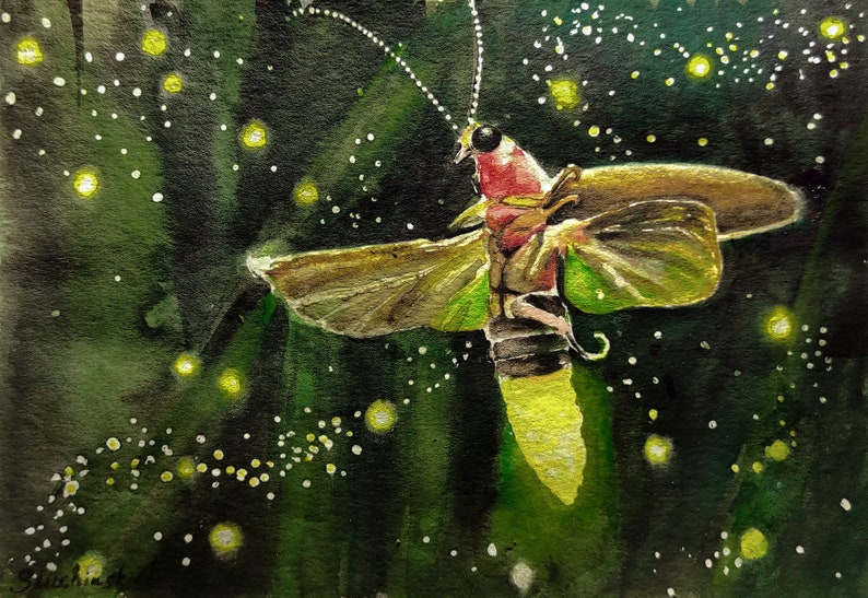Firefly Painting Light Watercolor Original Art Nature Artwork Animal Wall Art by AlinaArtsGallery image 1
