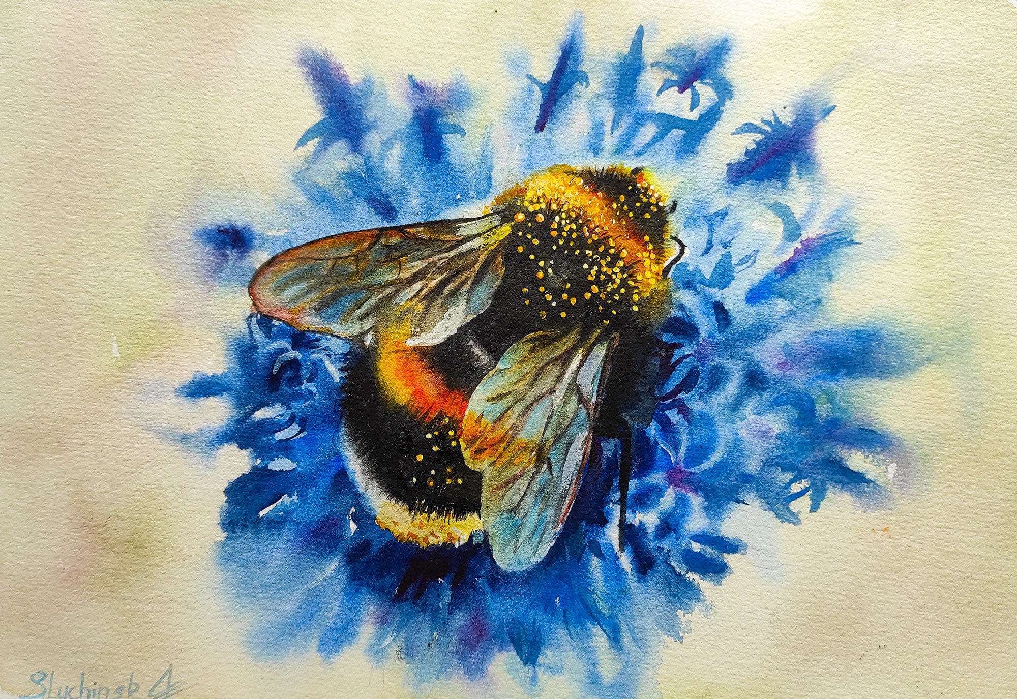Watercolor original 8x11 inch bumble bee painting insect by
