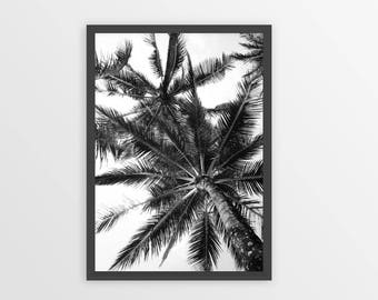 Palm Tree Print, Palm Leaf Print, Tropical Printable Wall Art, Beach Decor Digital Print, Coastal Wall Art, Modern Wall Art, Wall Art Prints