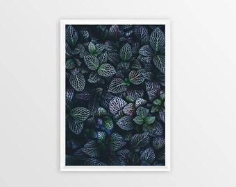 LEAF PRINT, Botanical Print Download, Leaf Print Art, Botanical Print, Botanical Art, Nature Photography, Printable Wall Art, Wall Art Print