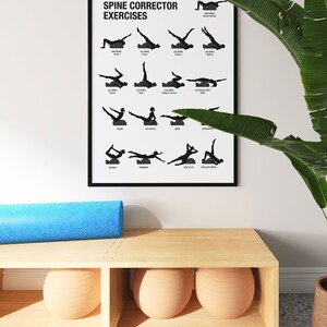 May include: A framed poster with the text "CLASSICAL SPINE CORRECTOR EXERCISES" and illustrations of various exercises. A blue foam roller rests on a light wood shelf with three beige exercise balls. A large green plant is to the right.