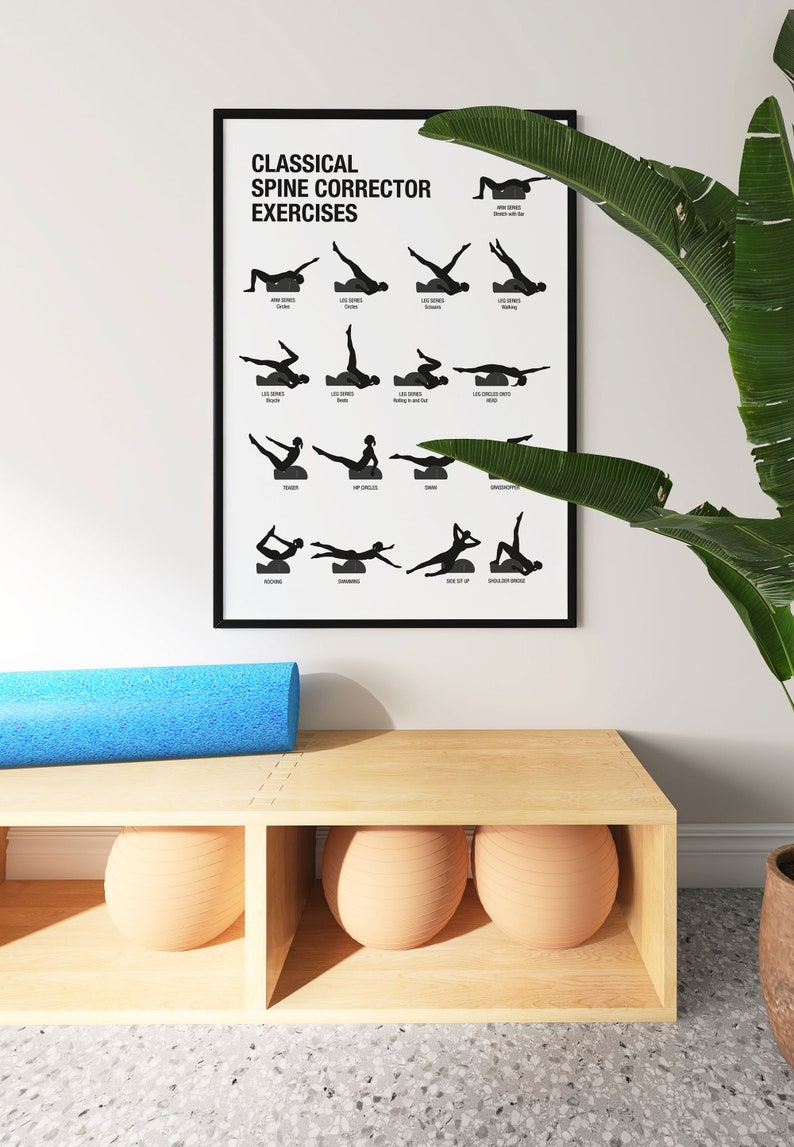 May include: A framed poster with the text "CLASSICAL SPINE CORRECTOR EXERCISES" and illustrations of various exercises. A blue foam roller rests on a light wood shelf with three beige exercise balls. A large green plant is to the right.