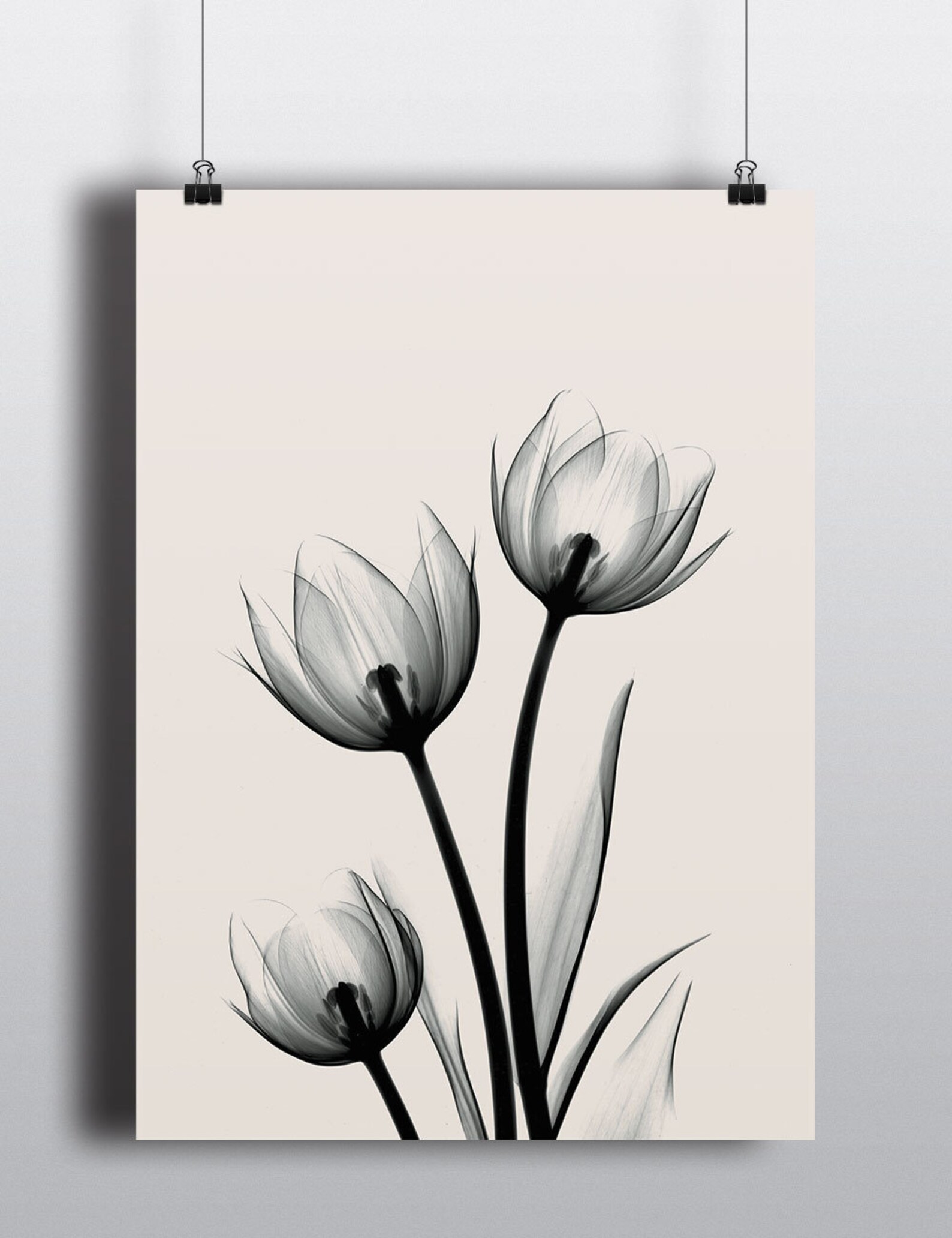Tulip Print Tulip Wall Art Tulip Printable Wall Art Black Etsy