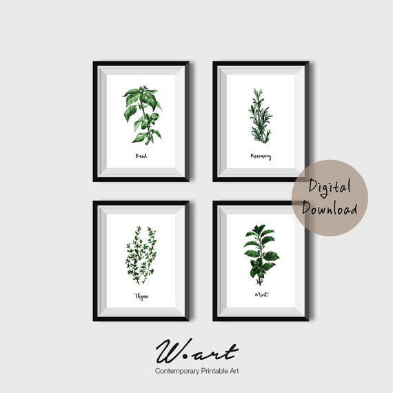 Herb Prints Herb Wall Art Watercolor Herbs Poster Etsy
