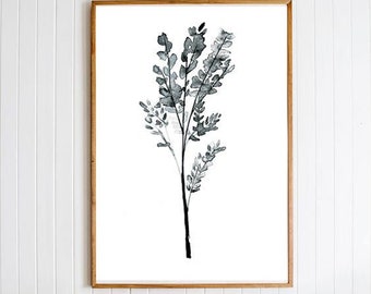 Botanical Prints,Modern Botanical Print,Nature Print,Instant Download Printable art,Digital Print,Minimalist Download,Minimalist Wall Art