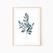 see more listings in the Botanical prints section