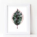 see more listings in the Botanical prints section