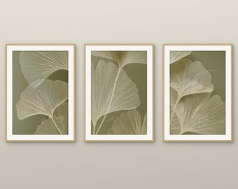 Juego de 3 láminas de arte mural verde salvia / Arte botánico lineal verde musgo / Juego de láminas de hojas de ginkgo, Estudios de musgo, 5 tamaños cada una, descarga instantánea