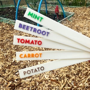 May include: Five white garden plant markers with coloured text. The labels read "MINT," "BEETROOT," "TOMATO," "CARROT," and "POTATO." The markers are held against a background of wood chips in a garden.