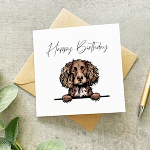 Carte d'anniversaire épagneul chocolat, carte cocker de travail, carte Sprocker, carte épagneul chocolat, carte d'anniversaire,