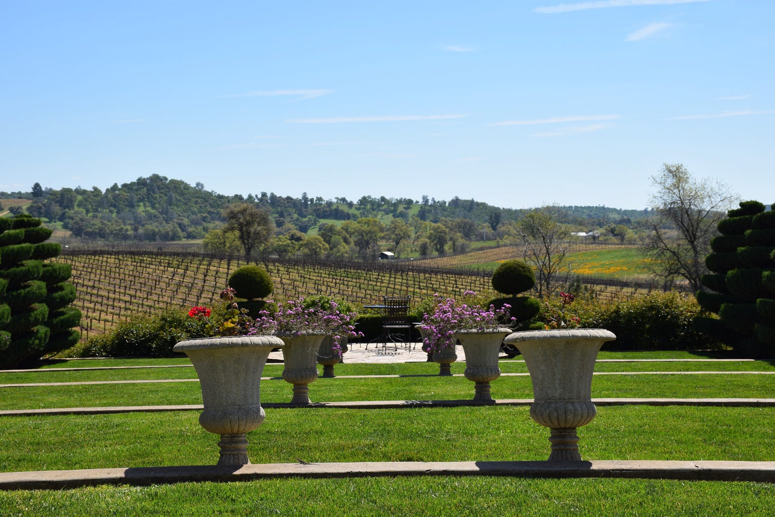 Wine Unity Ceremony Etsy