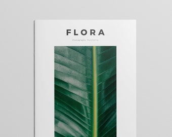 Photography Portfolio Template: Modern InDesign Brochure (Instant Download)