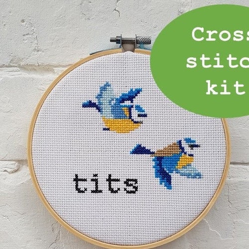 Cross Stitch Kit tits Subversive Cheeky Quirky Rude Etsy UK