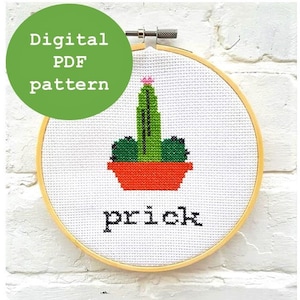 Può includere: Un modello di punto croce digitale in PDF con un cactus verde con un fiore rosa in un vaso rosso. Il testo "prick" è ricamato sotto il cactus.