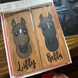 Custom horse caricature stall signs