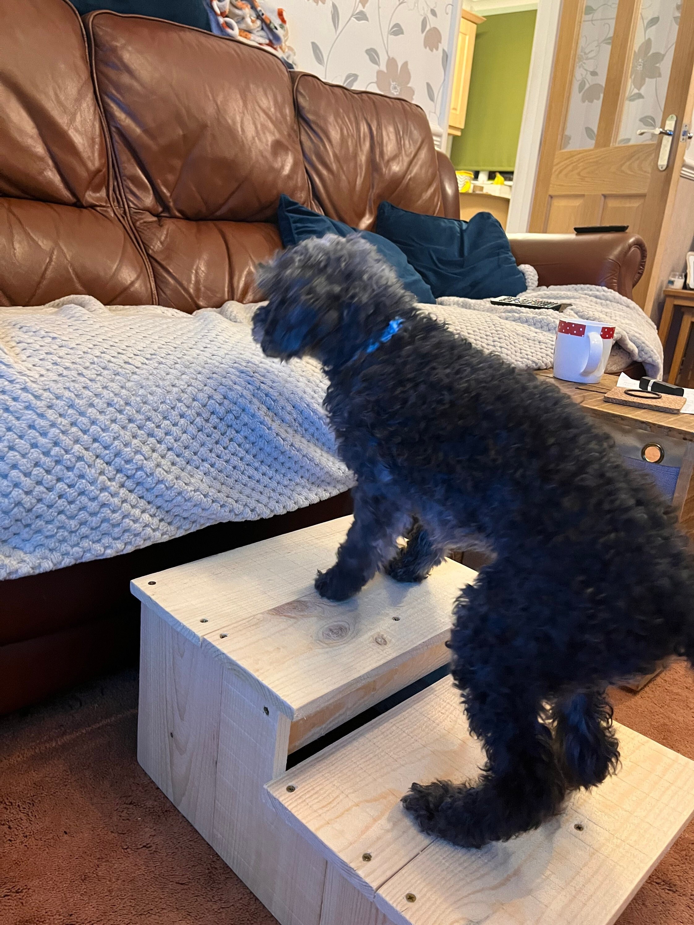 Wooden Steps Pet Step Foot Stool Handmade Cat & Doggy Etsy UK