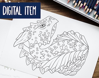 Dragon Head, Printable Coloring Page for kids and adults. Digital download (JPG + PDF) Antistress quarantine entertainment. DIY