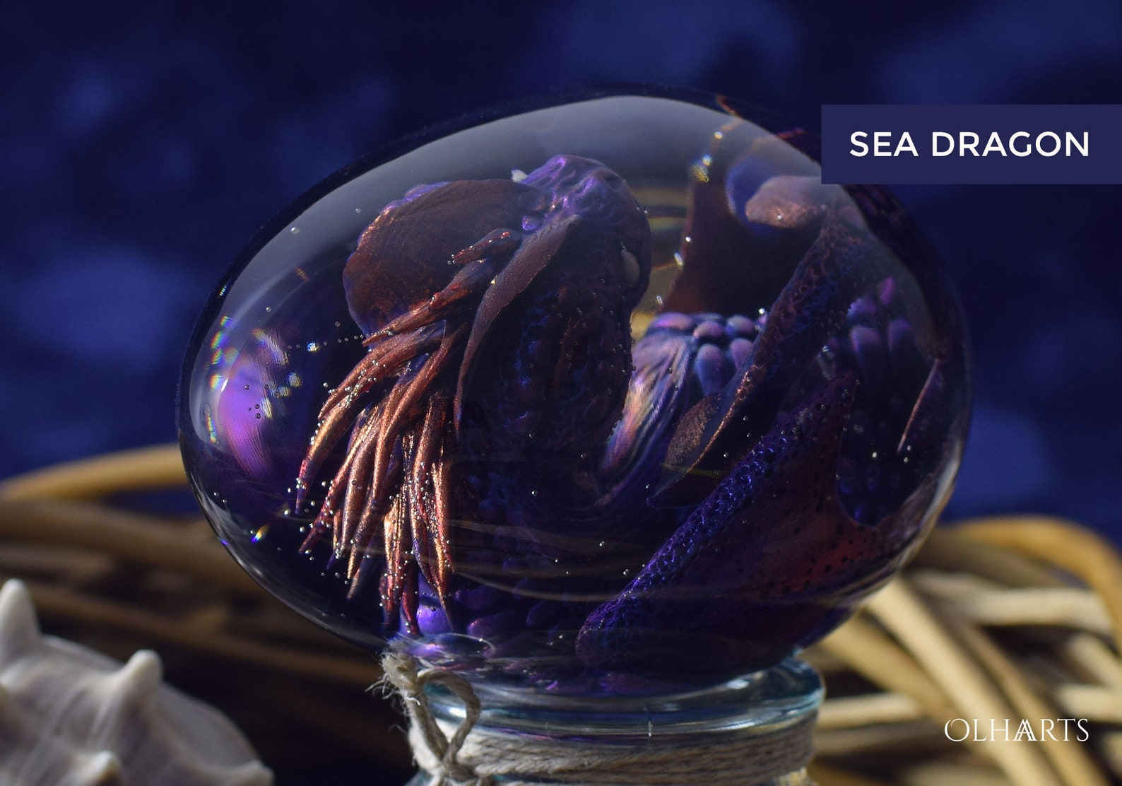 Water Dragon's Egg Baby Dragon Sea Dragon Egg Ocean Etsy