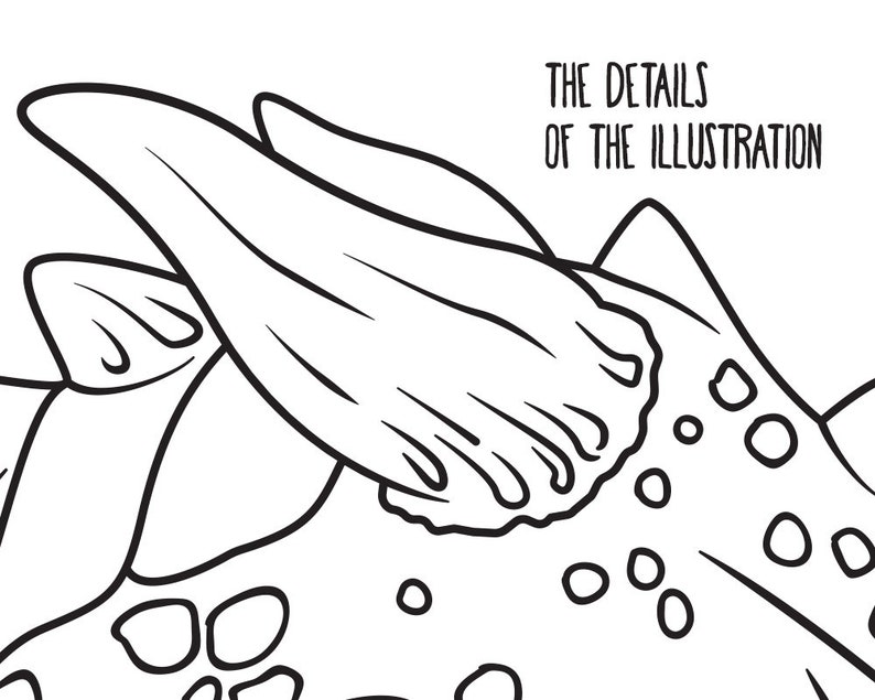 Dragon Head Printable Coloring Page for Kids and Adults. - Etsy
