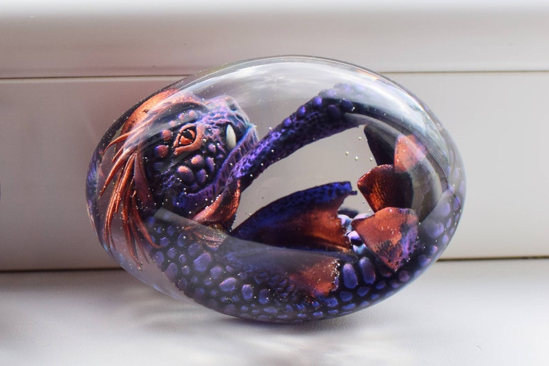 Water Dragon's Egg Baby Dragon Sea Dragon Egg Ocean Etsy