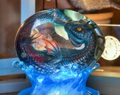 ウォータードラゴンエッグ、透明なクリアエッグに入った海の赤ちゃん