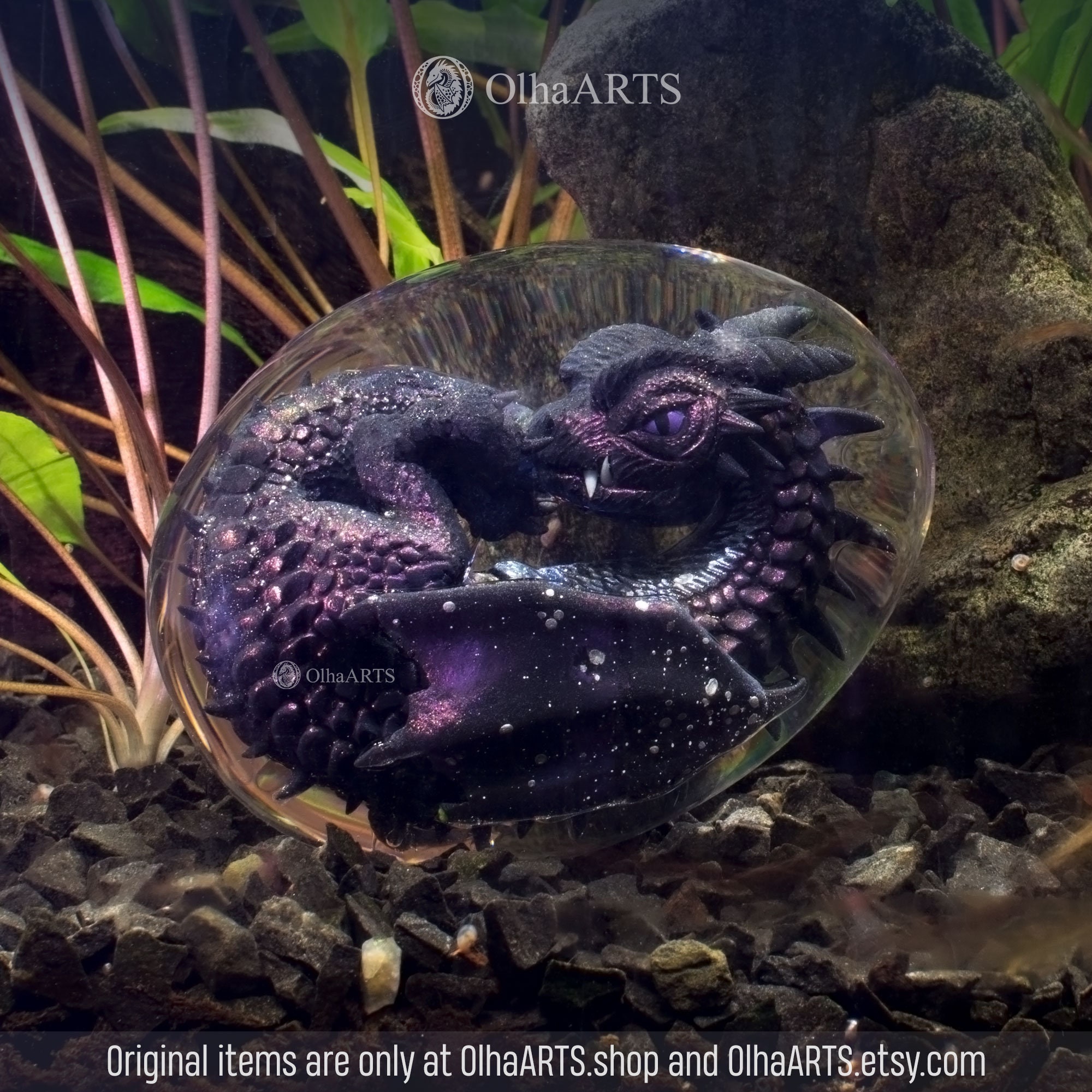 Midnight Dragon Egg, VIP Gift Set With Black Baby Dragon in