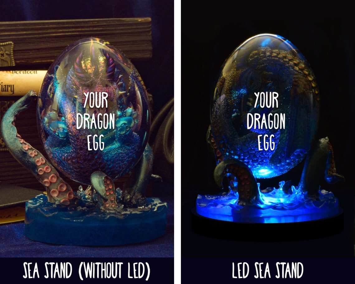 Water Dragon's Egg Baby Dragon Sea Dragon Egg Ocean Etsy