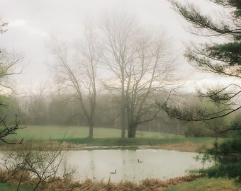 Origineel landschap "Farm Pond" foto | Fine Art archivering afdrukken door Katherine Solomon