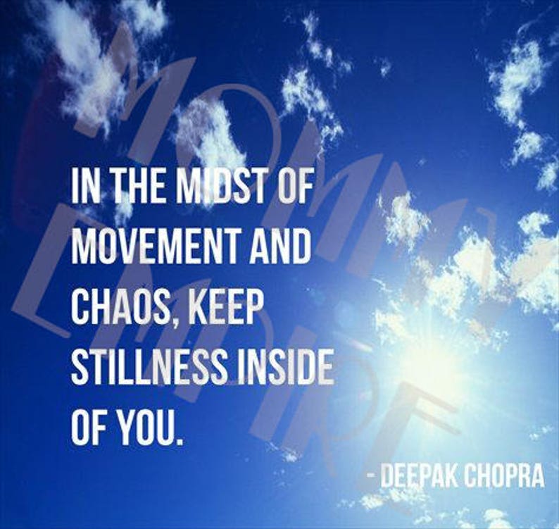 Download Social Media Motivational Quotes bundle 1000 for Instagram ...