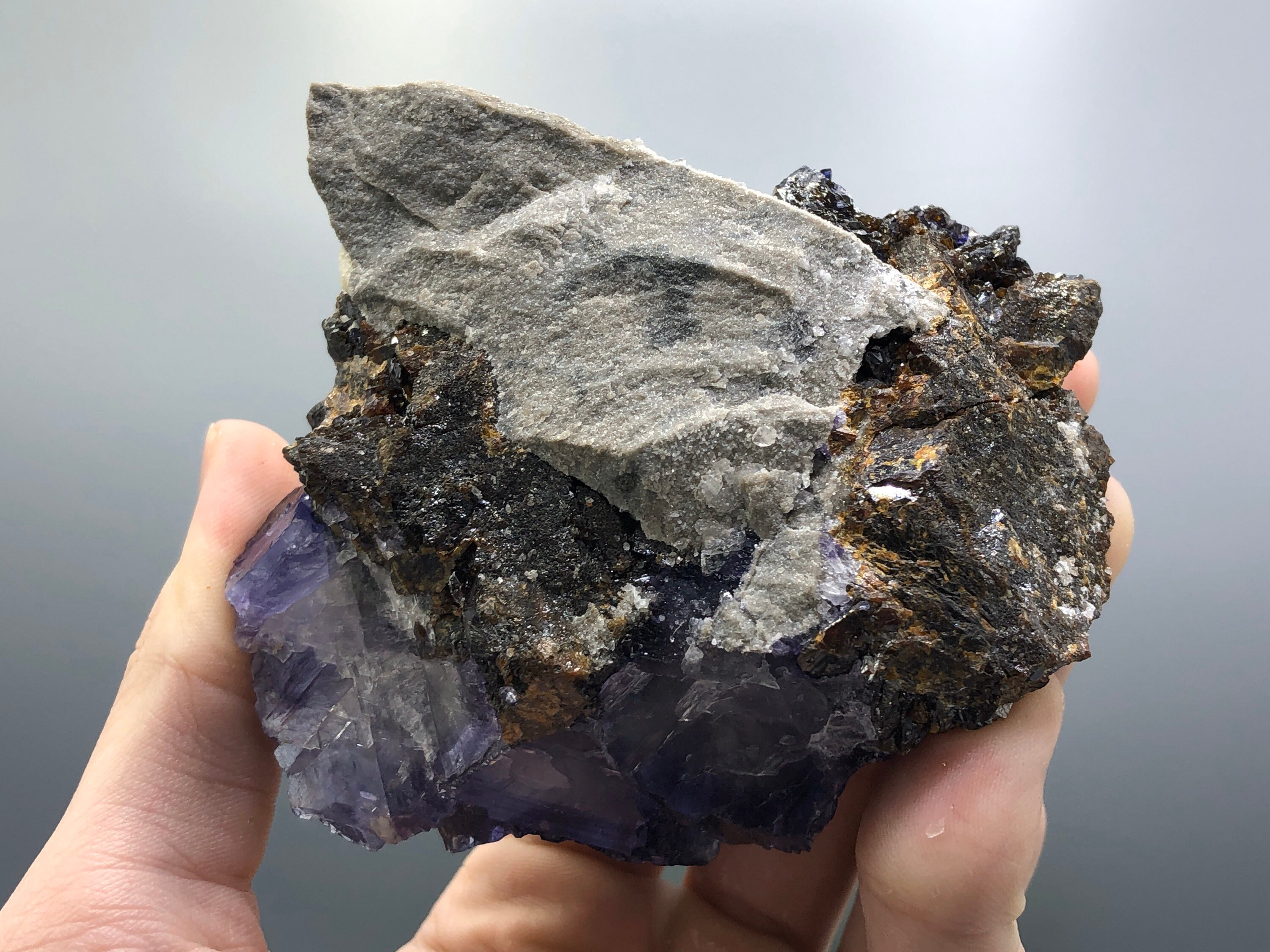 新発見！ 最高級の閃亜鉛鉱母岩上の 3.5 インチのコレクター向けエルム