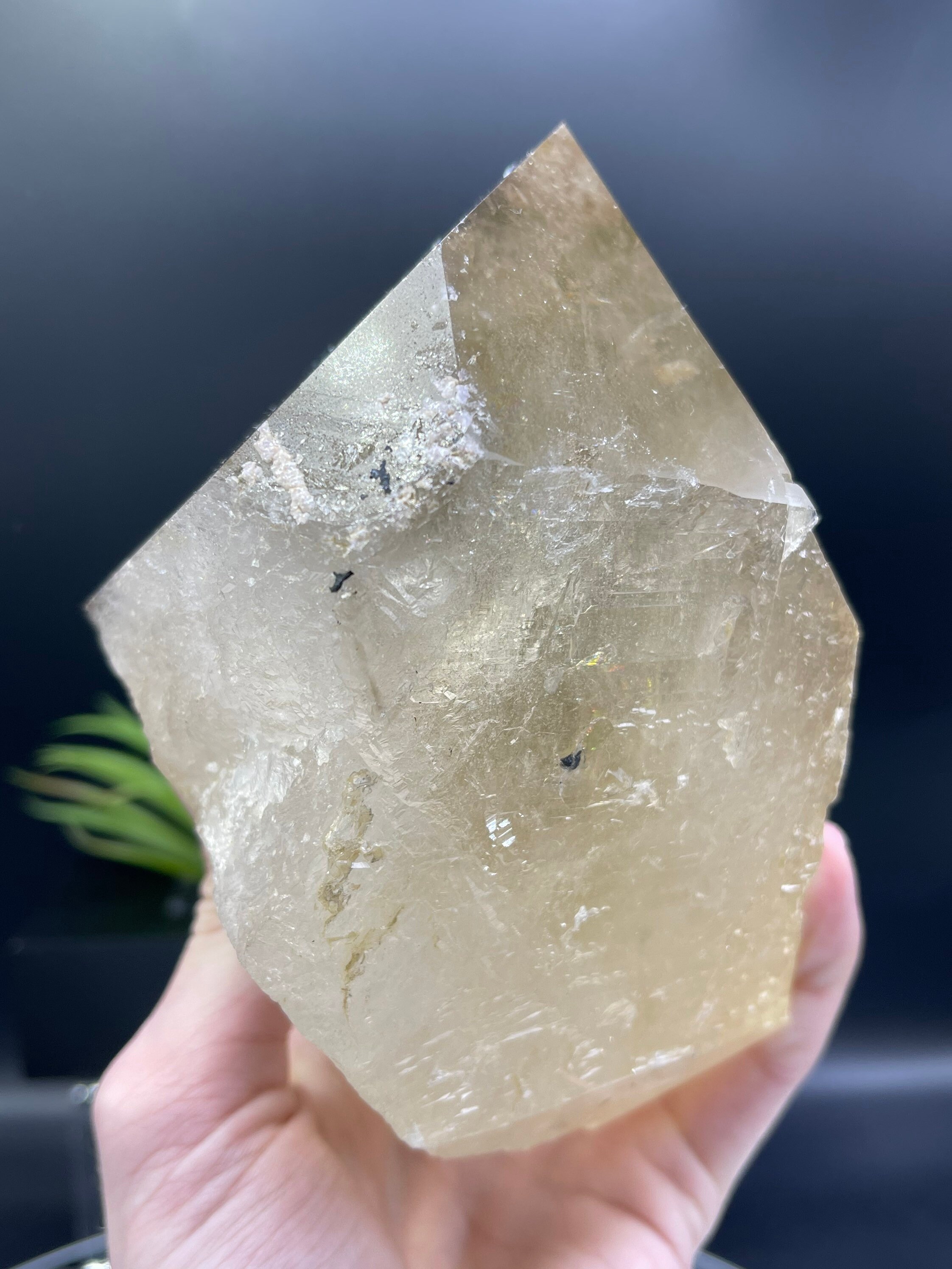 カテドラルシトリン シトリンのカテドラルポイント - 吉祥寺の天然石のお店『Seven