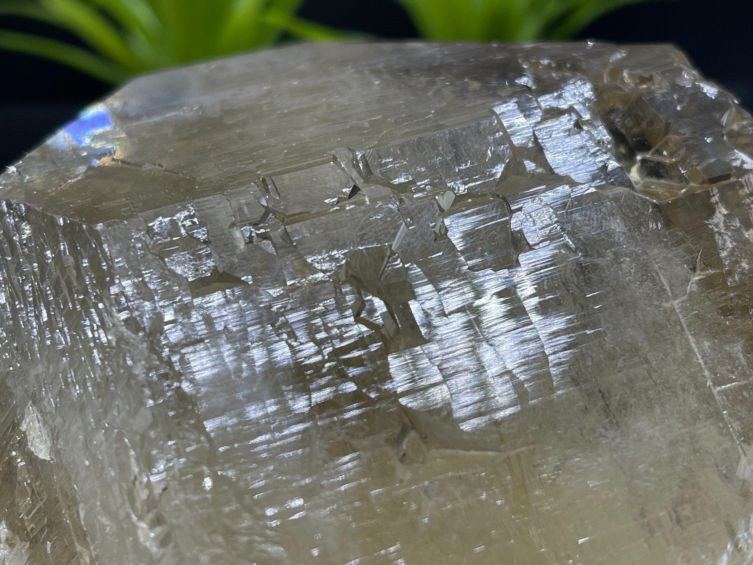 新発見！ 完璧な 4.5 インチのカテドラル シトリン。損傷がなく、完璧