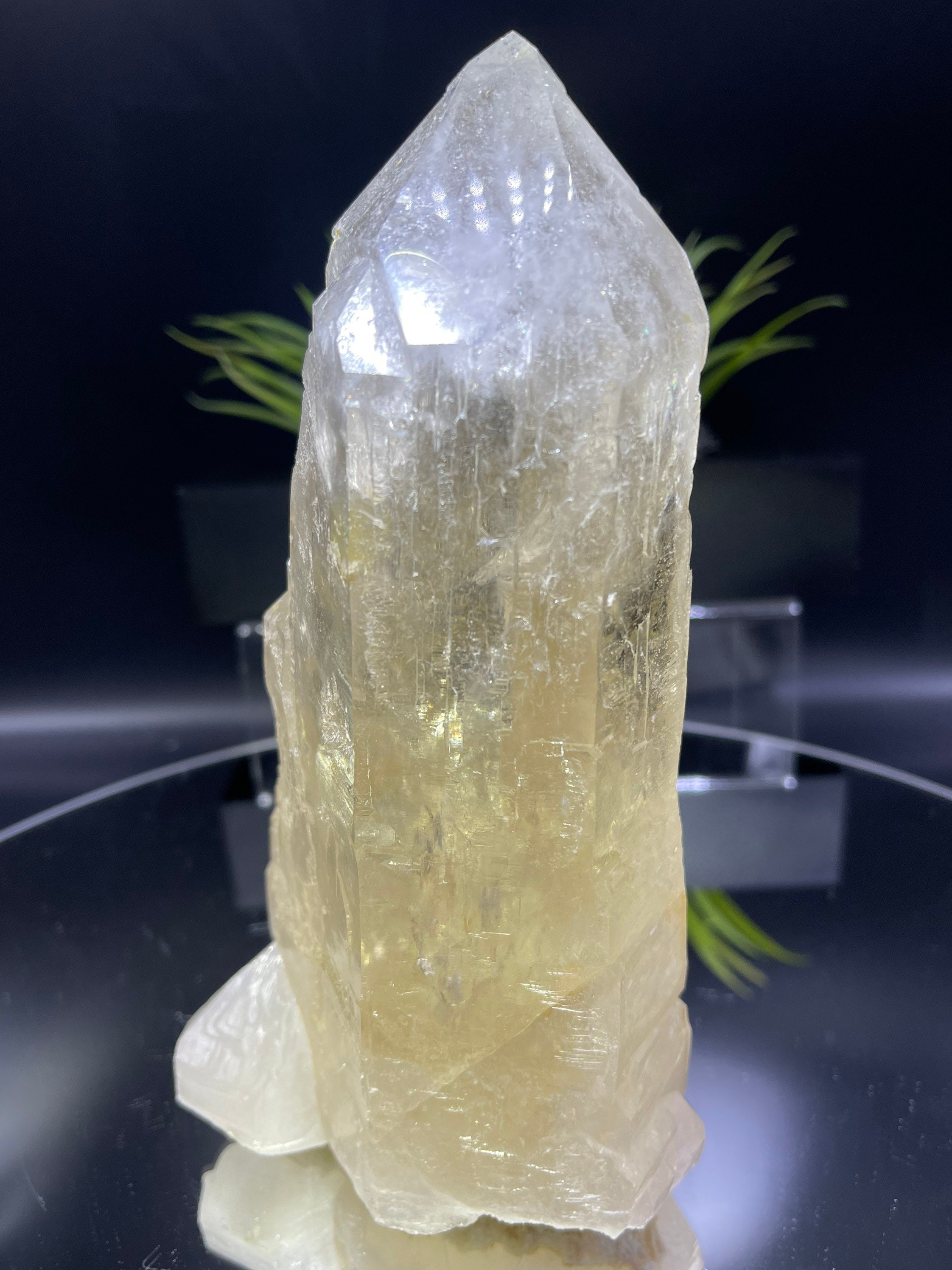 新発見！ 完璧な 8 インチのカテドラル シトリン。損傷がなく、完璧な