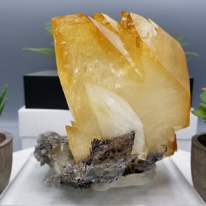 New Find, New Pocket!!! 12/11/18 Absolutely Unreal, XL Cabinet 5.5" Elmwood Mine Calcite On Dolomite Matrix In Its Finest Form!!