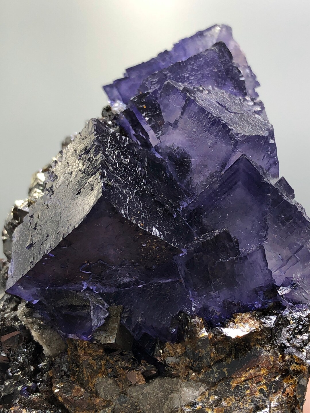 新発見！ 最高級の閃亜鉛鉱母岩上の 3.5 インチのコレクター向けエルム