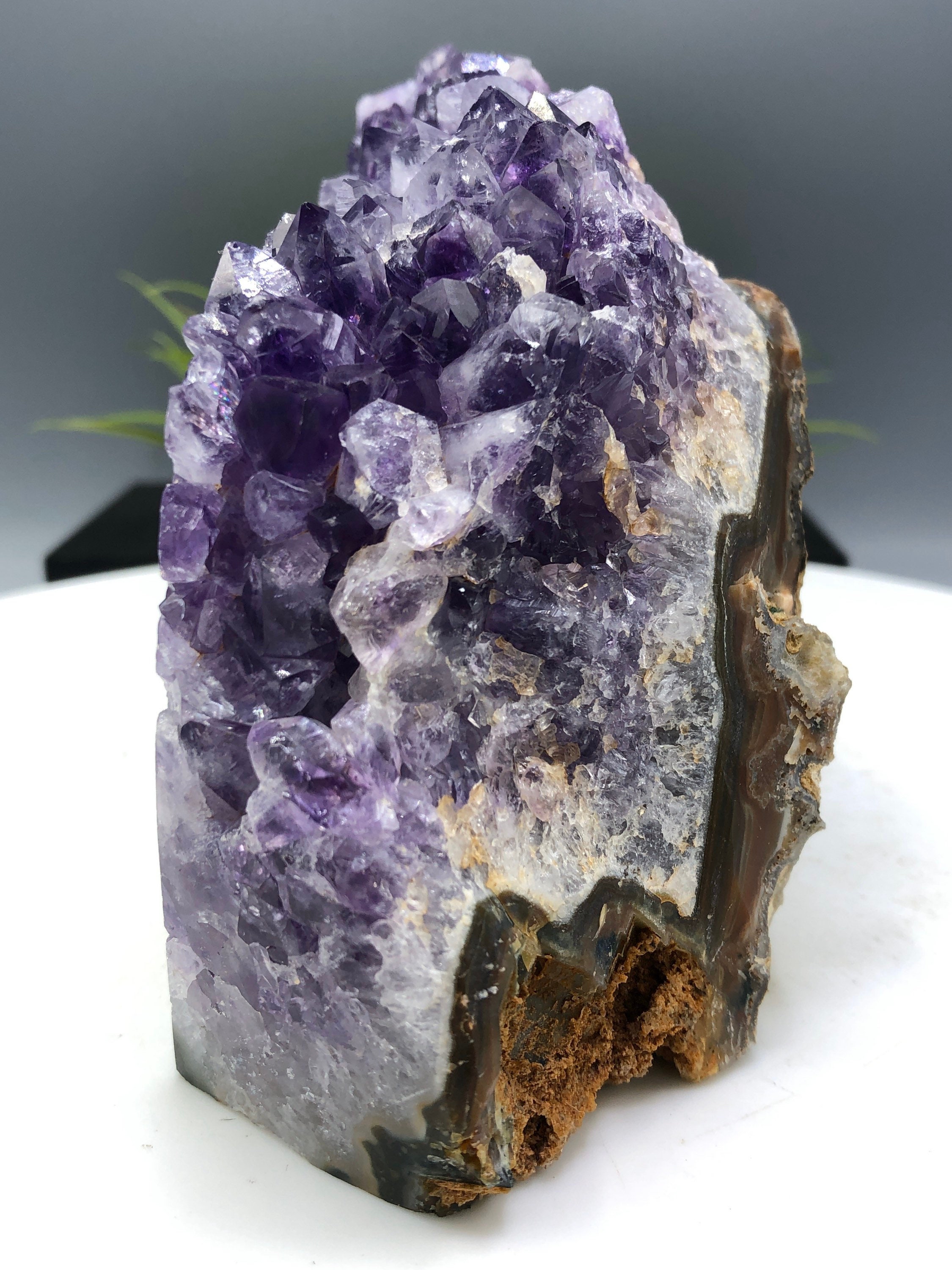 gorgeous-5lb-saturated-amethyst-w-beautiful-polished-eyes-etsy