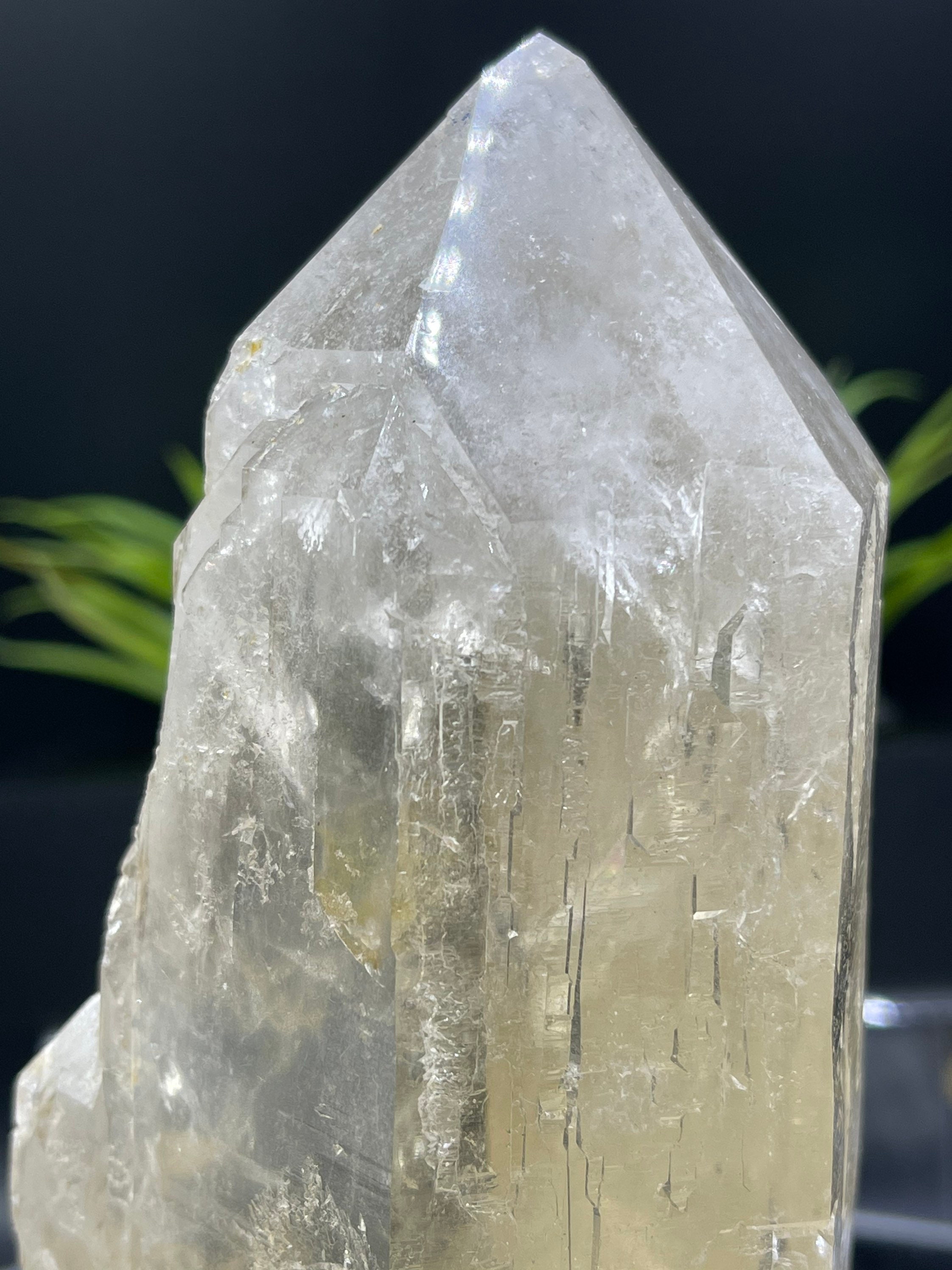 新発見！ 完璧な 8 インチのカテドラル シトリン。損傷がなく、完璧な