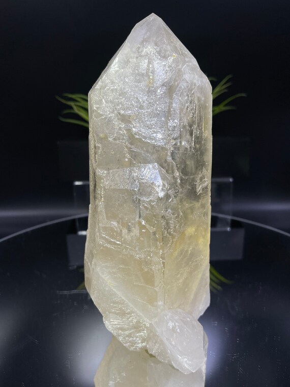 新発見！ 完璧な 8 インチのカテドラル シトリン。損傷がなく、完璧な